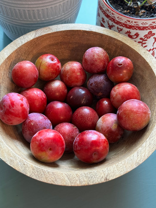 Plums by the pound