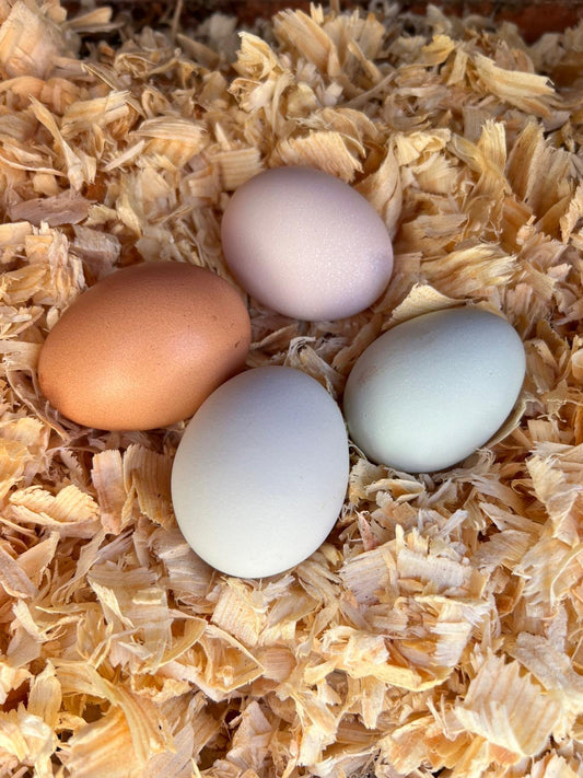 One Dozen Farm Fresh Eggs